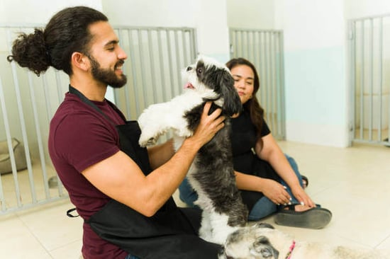 A dog daycare worker holds a dog inside