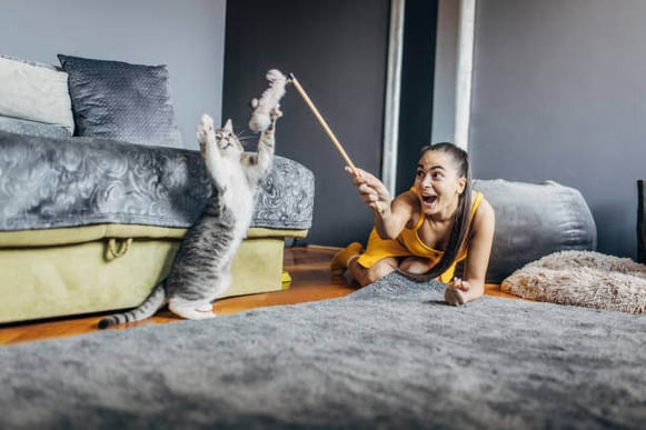 A person playing a fishing line game with their cat