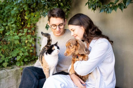 A man and woman hold a cat and dog