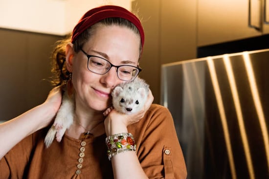 caring for a pet ferret