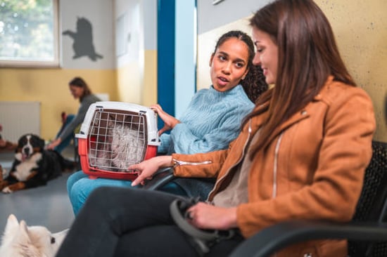 pet parents chatting in a crowded lobby