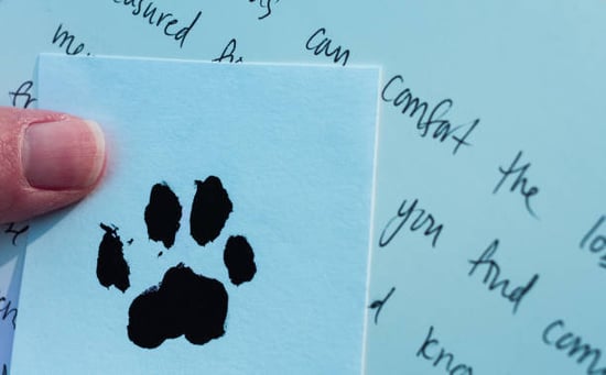 paw print and handwritten note