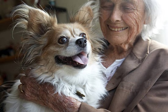elderly woman with her smiling papillon dog breed