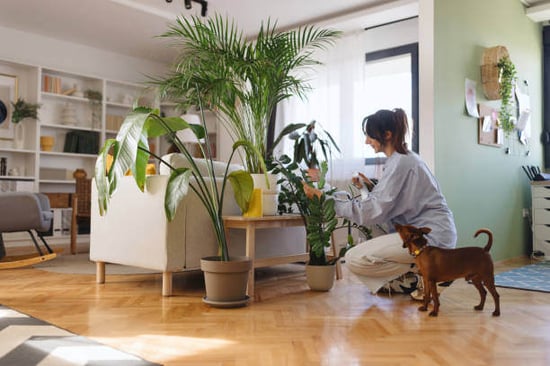 A woman cares for plants as her dog stands next to her