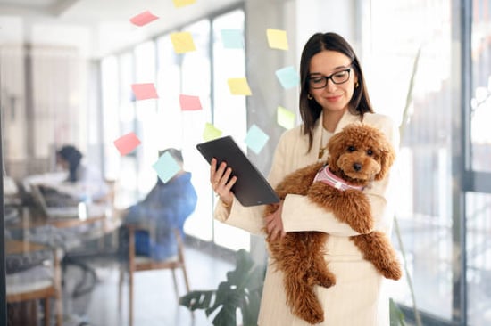 pet business manager holding a puppy and tablet