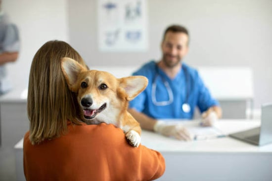 A person checks into an appointment with their dog