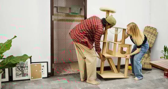 two people bringing a cat tree into a kennel facility