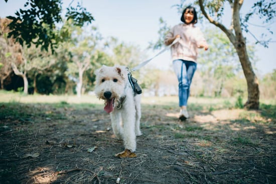 dog walker and pup outside