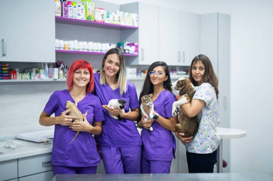 pet-care business staff with baby and exotic animals