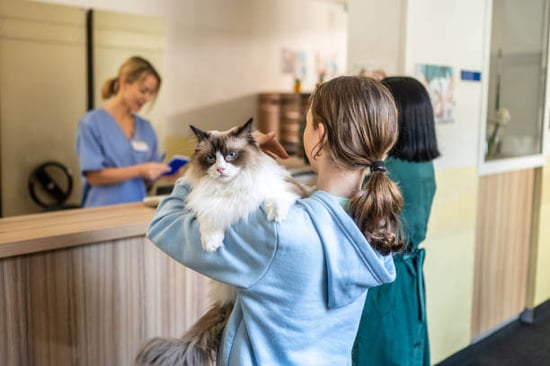 A woman holds a cat while checking in at a front desk