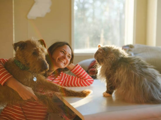 A woman smiles at a dog and cat