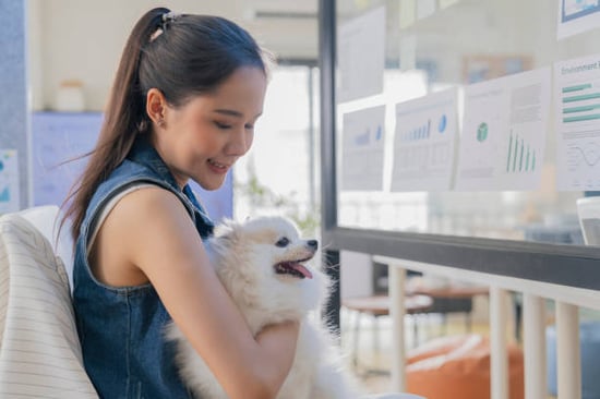 young woman holding dog at pet-care business
