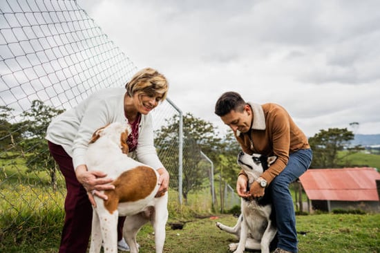 man and woman caring for dogs outside