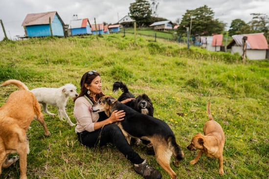 an emergency dog kennel owner and dogs outside
