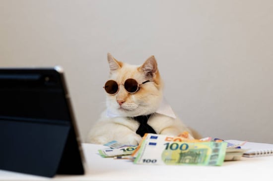 cat on tablet surrounded by money
