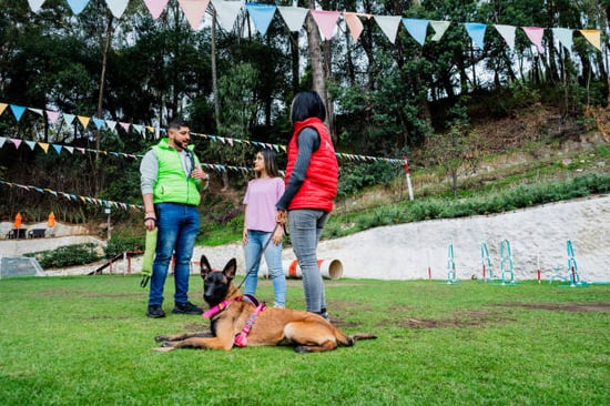 dog trainer at outside course with pet parents