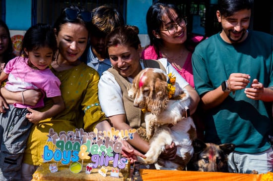 dog celebration party