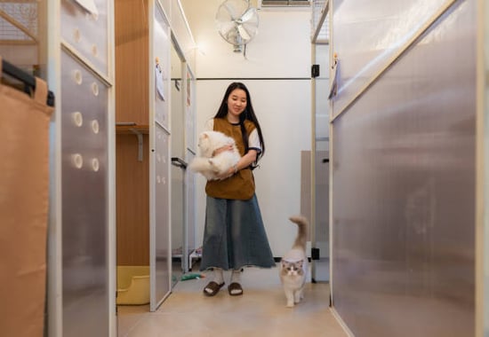 cattery staff working in well-functioning facility
