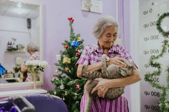woman holding cat in Christmas decorated boarding facility