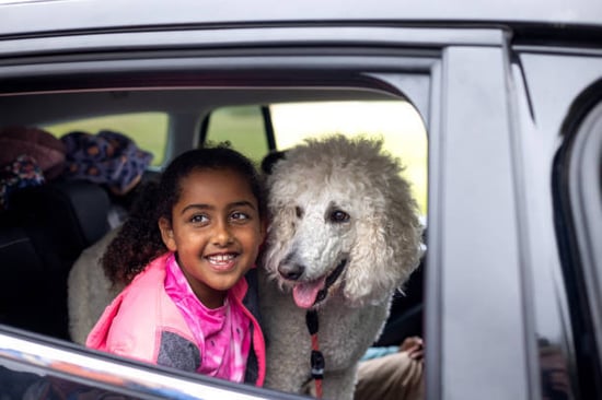 child in car on the go with dog