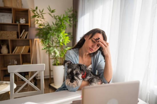 stressed pet-care business owner at computer with dog