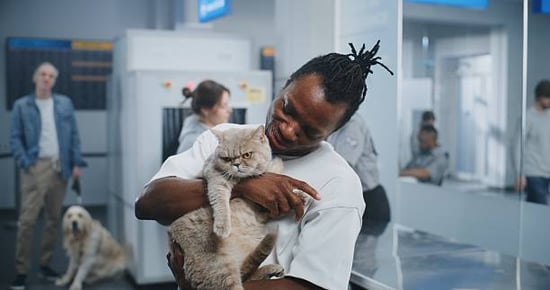 loving cat parent holding Persian cat in a bustling pet facility