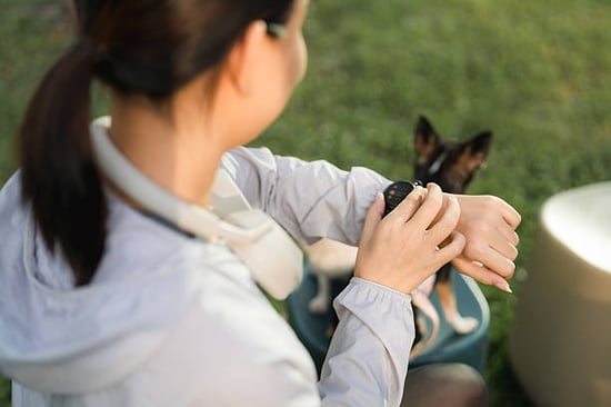pet parent syncing smart watch with pet tech