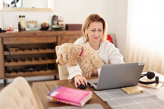 A woman uses a laptop as a dog sits on her lap