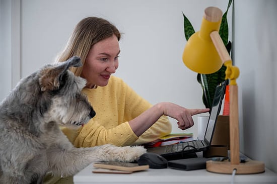 delighted pet parent showing dog newsletter on computer