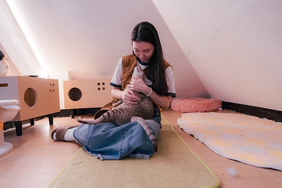 caring cat-boarding business owner nuzzling a cat