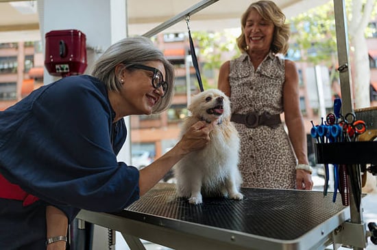 dogs groomer and pet parent smiling