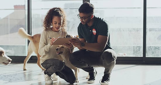 two people filling out a form with dogs running around