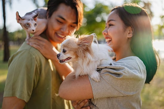 couple playing with cat and dog outside