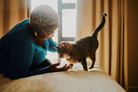 woman calming down a cat