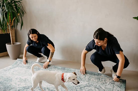 pet care staff tidying and organizing facilities with a dog nearby