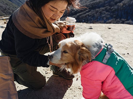 woman in winter caring for a dog outside in a coat