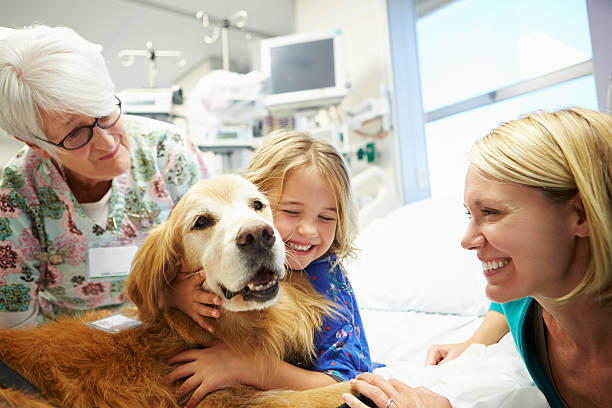 Animal-Assisted Therapy: Dogs Making a Difference
