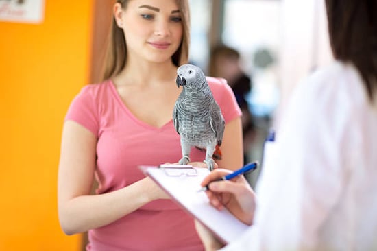 young woman with bird and pet-care provider filling out form