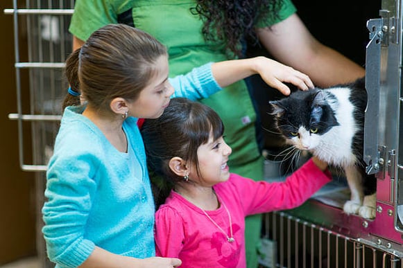 Two young girls pet a cat