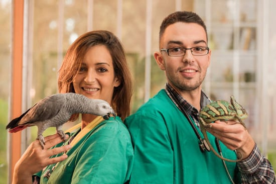 pet-care providers with exotic pets posing