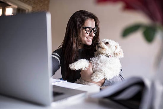 A woman uses a laptop as a dog sits on her lap