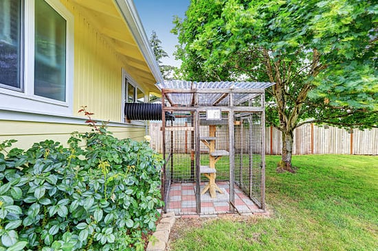 outdoor catio structure