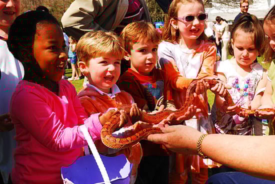 children with snake at reptile themed event