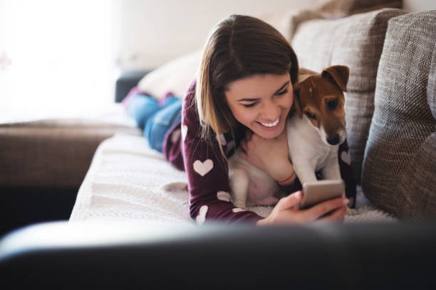 The Power of Reviews: Building Trust for Your Pet-Care Business