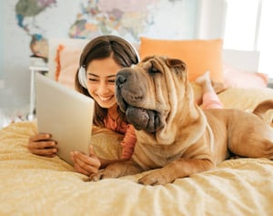 Pet-Care Business Social Media Marketing: A Crash Course