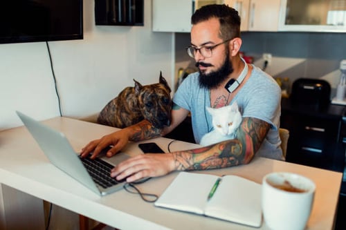 7 Google My Business Essentials for Your Pet-Care Business