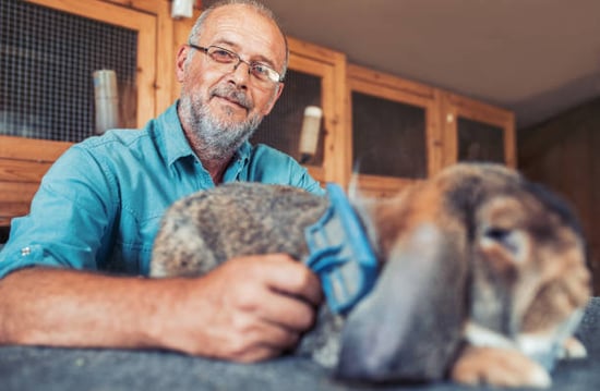 man brushing rabbit in front of kennels at his overnight boarding facility