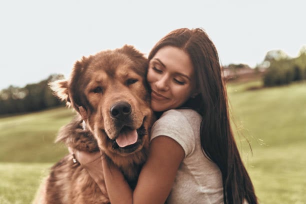 Building Long-Term Relationships with Pet Parents 