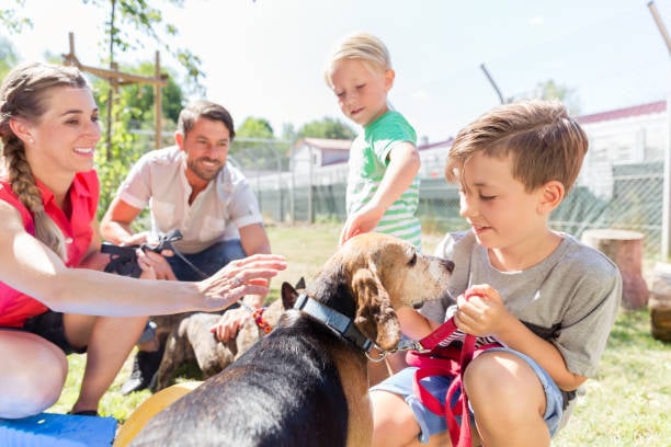 A Guide to Organizing Successful Pet Socialization Events