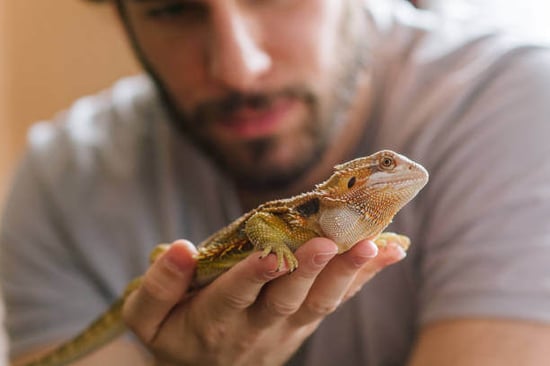 A man holds a lizard
